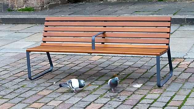 Plzeňská radnice nechala instalovat na náměstí Republiky a v dalších částech města lavičky s opěrou uprostřed. Mají bránit v tom, aby na nich někdo ležel. (26. února 2024)