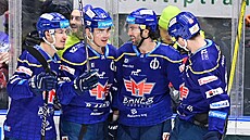 Hokejisté eských Budjovic se radují ze vstelené branky.