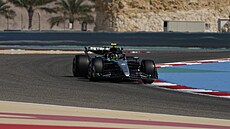 Lewis Hamilton na pedsezonních testech v Bahrajnu.