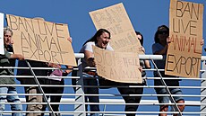 Aktivisté za práva zvíat protestují kvli lodi Al Kuwait, která zakotvila v...