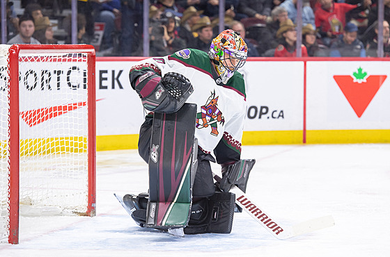 Branká Arizona Coyotes Karel Vejmelka bhem zápasu s Ottawa Senators.
