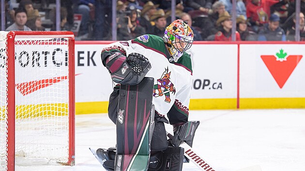 Branká Arizona Coyotes Karel Vejmelka bhem zápasu s Ottawa Senators.