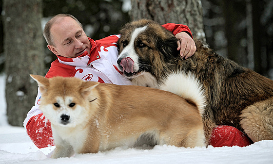 Novo Ogarjovo. Ruský prezident Vladimir Putin dovádí se svými psy Buffy...