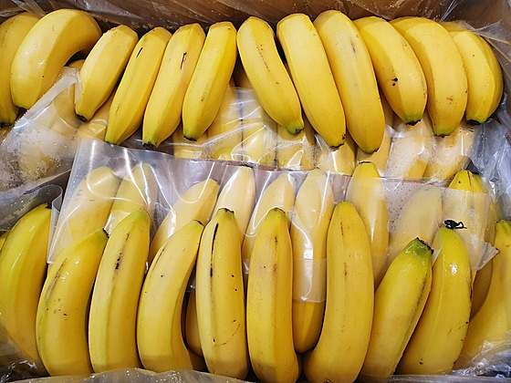 Krabice plná banán (5. dubna 2022)