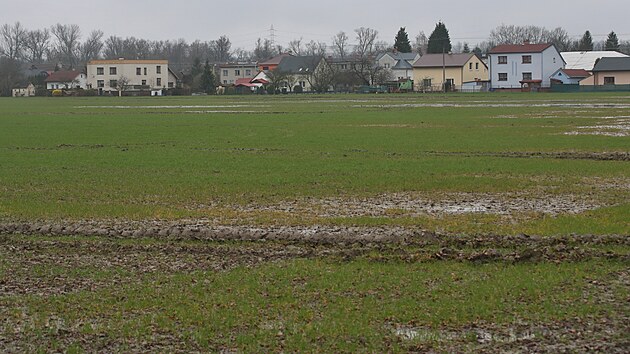 Na tomto poli poblíž Věřňovic na Karvinsku má vzniknout obří gigafactory. Místní se bojí, že to zcela promění život v obci.