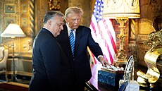 Nedm Ukrajin ani cent a vlka skon, ekl Trump pi setkn Orbnovi