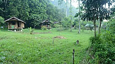 Kemp v rezervaci Bukit Lawang na Sumate