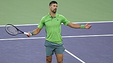 Srb Novak Djokovi se roziluje ve tetím kole turnaje v Indian Wells.
