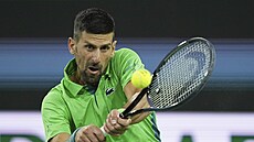 Novak Djokovi na turnaji v Indian Wells