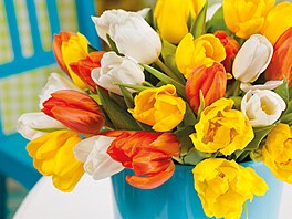 ivé kvty jsou na jaru vbec to nejkrásnjí. A kytici tulipán dnes koupíte...