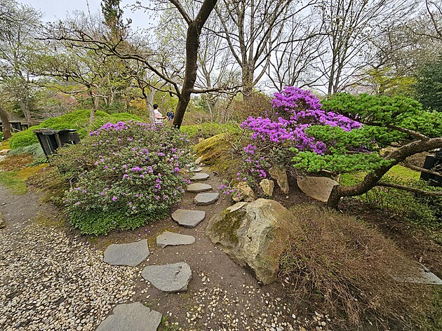 Tohle je moje srdcovka, japonská zahrada v Botanické