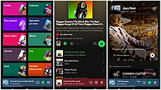V eském prostedí zatím Spotify nové AI funkce nenabídne