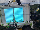 Traktor se speciálními UV panely zkouí vinai z Velkých Bílovic na Beclavsku...