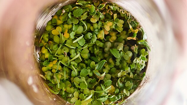 Pokusy s těžbou železa či pěstováním rostlin ve vesmíru jsou součástí festivalu Zažij vědu, který pořádá Fakulta technologická Univerzity Tomáše Bati ve Zlíně.