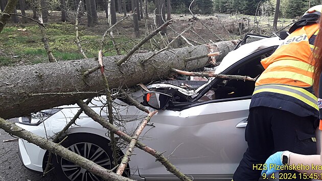 U Rokycan spadl strom na projdjc auto. Zrannou idiku peveli zchrani do nemocnice. (9. dubna 2024).