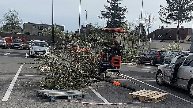 Hrušně musely dolů, kácení vzbudilo nevoli u některých obyvatel.