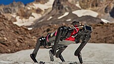 NASA spolupracuje s nkolika univerzitami na vývoji robotických "psích"...