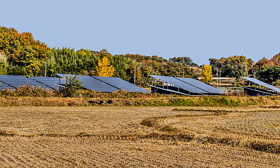 Solární instalace na jedné z jihokorejských farem (4. listopadu 2022)