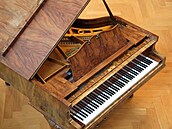 Hernychovu vilu zdobí historický klavír Petrof z roku 1939, který je vzácným...