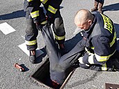 Pratí hasii zachránili jedenáct kachniek z kanálu (23. dubna 2024)