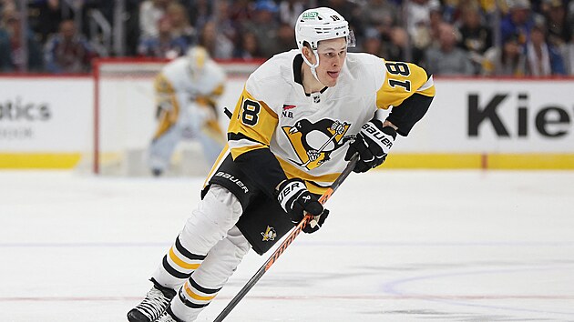 tonk Pittsburgh Penguins Jesse Puljujrvi.