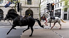 Centrem Londýna probíhalo pt splaených koní královské kavalerie. (24. dubna...
