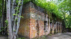 Tým polsko-nmeckých amatérských archeolog nael v dom, který patil ískému...