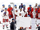 Hokejisté dostávají taktické pokyny od trenéra Radima Rulíka.