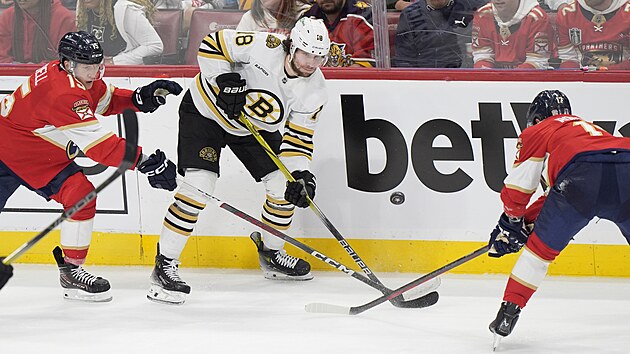 Pavel Zacha z Bostonu mezi dvojicí van Rodrigues (vpravo) a Anton Lundell z Floridy.