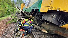 U Skalné na Chebsku najel osobní vlak do spadlého stromu a ásten vykolejil....