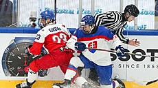 eský hokejista Petr Sikora (vlevo) ve tvrtfinálovém duelu se Slovenskem,