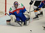 Slovenský branká Stanislav korvánek zasahuje v zápase s Nmeckem na hokejovém...