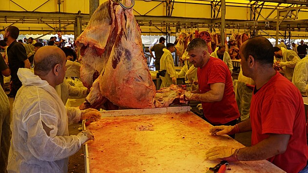 Muslimové v Turecku v rámci oslav svátku íd al-adhá podřezávají zvíře. (16. června 2024)