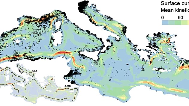 Plastové odpadky vytvářejí ne hladině shluky, které jsou postupně zanášeny k pobřeží.