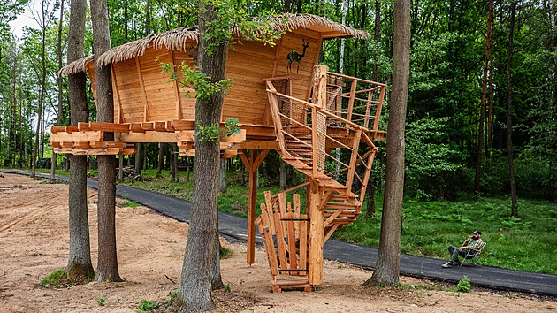 Městské lesy vybudovaly v kempu u hradeckého Stříbrného rybníku chatu v korunách stromů. V plánu jsou ještě dvě. (23. května 2024)