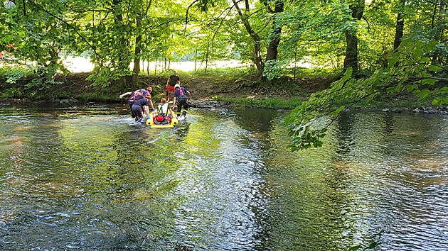 Jednasedmdesátiletý muž se míjel nedaleko Hradce nad Moravicí s cyklistou na okraji asi dvacetimetrového srázu a nešťastnou náhodou se zřítil dolů k řece Moravici.