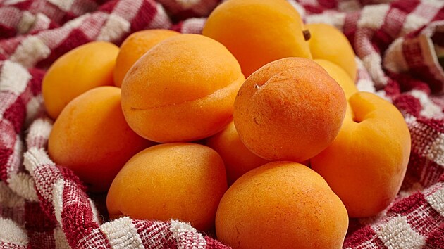 Ilustrační snímek