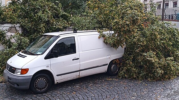 Hasiči po bouřkách ve Zlínském kraji čerpali vodu, odklízeli i popadané stromy. (17. srpna 2024)