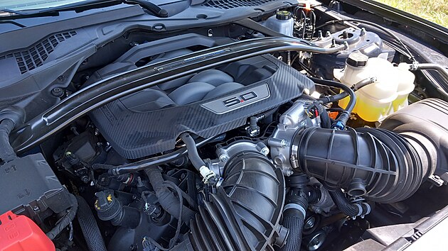 Ford Mustang Dark Horse