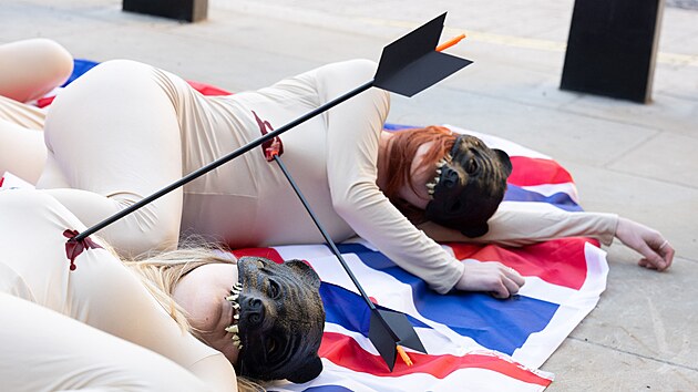 Aktivisté z organizace PETA při protestu proti používaní kožešin z medvěda baribala při výrobě čepic královské gardy (19. ledna 2024)