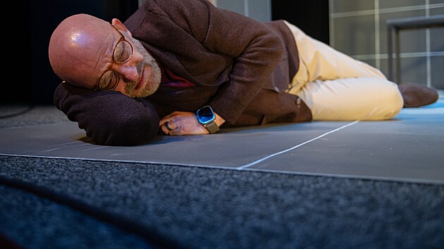 Hynek Čermák v představení Koza aneb Kdo je Sylvie?