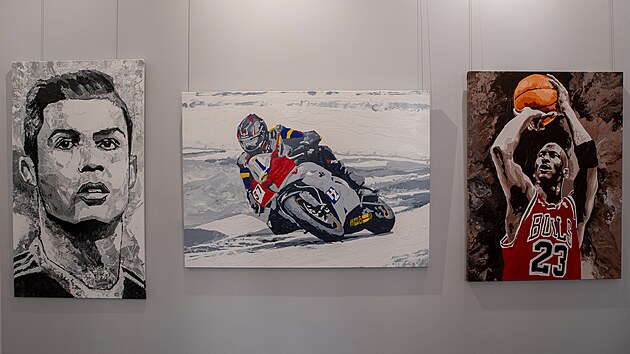 Z pláten na návštěvníky shlížejí slavní tenisté Rafael Nadal, Novak Djokovič a Roger Federer nebo fotbalista Cristiano Ronaldo či další sportovci a sportovkyně.