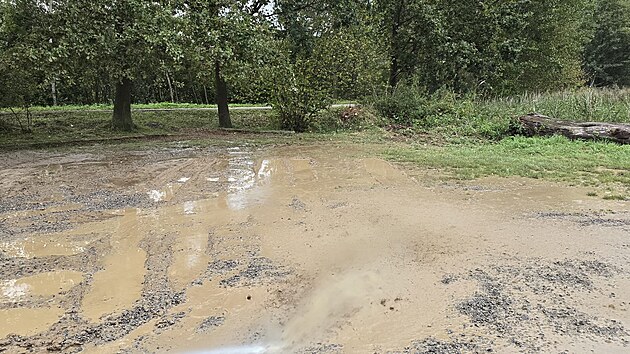 Vyplavený areál pstruží farmy Bělá na Opavsku, odkud odplavalo přes tunu pstruhů. (27. září 2024)