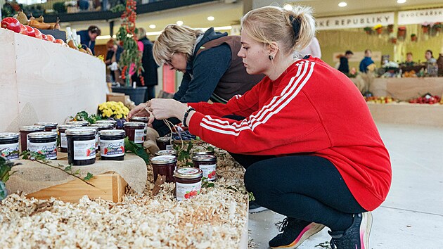 Na olomouckém výstavišti ve středu 2. října finišovaly přípravy na podzimní výstavu Flora - Hortikomplex.