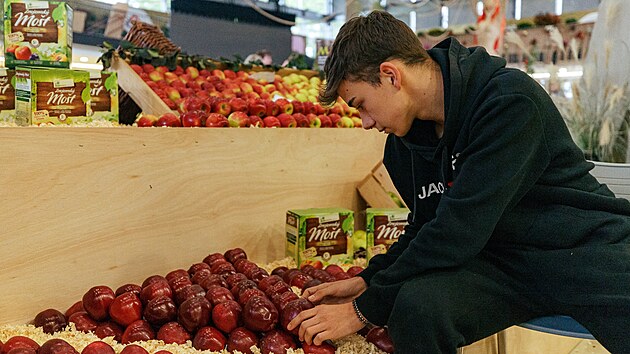 Na olomouckém výstavišti ve středu 2. října finišovaly přípravy na podzimní výstavu Flora - Hortikomplex.