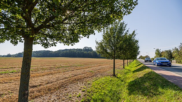 Nově vyhlášená přírodní památka Kopec svatého Jana v Hradci Králové