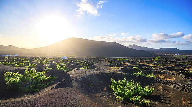 Lanzarote má geograficky blíž k Africe než k Evropě, a na jeho klimatu je to znát. Průměrná zimní teplota tu činí 20 stupňů Celsia. Svetr, čepici ani bundu si tedy na cestu balit do kufru rozhodně nemusíte.