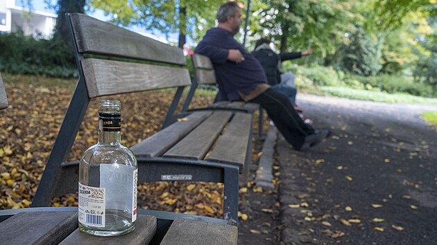Zlín chce zkultivovat park Svobody u zámku. Lidé mají toto místo často spojené s bezdomovci. (říjen 2024)