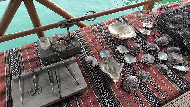 Prohlídka perlové farmy v emirátu Rás al-Chajma