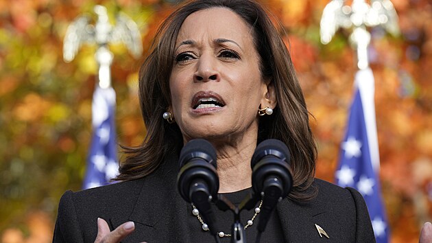 Kandidátka demokratů na prezidentku Kamala Harrisová. (24. října 2024)